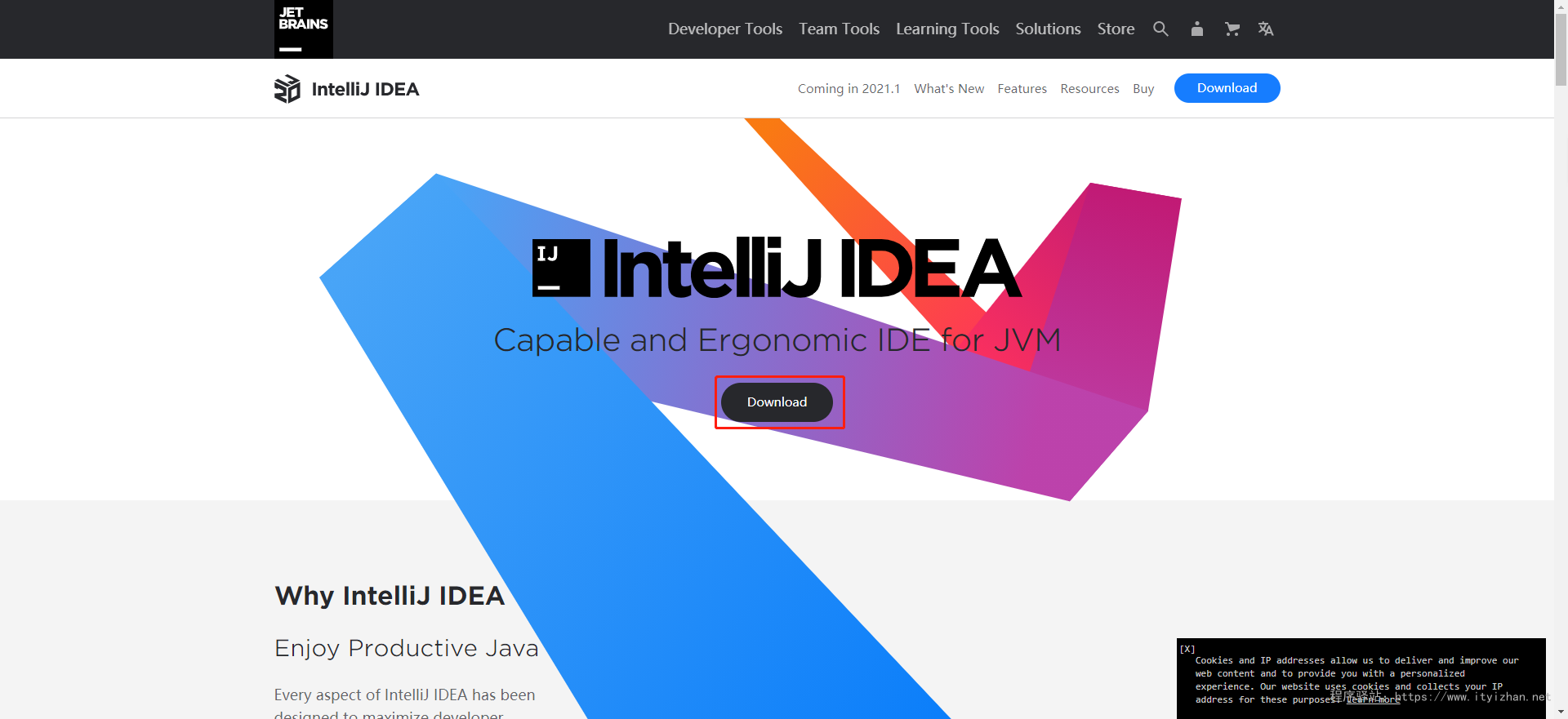 IntelliJ IDEA官方下载地址