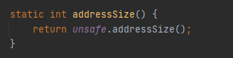 Unsafe.addressSize()的实际应用